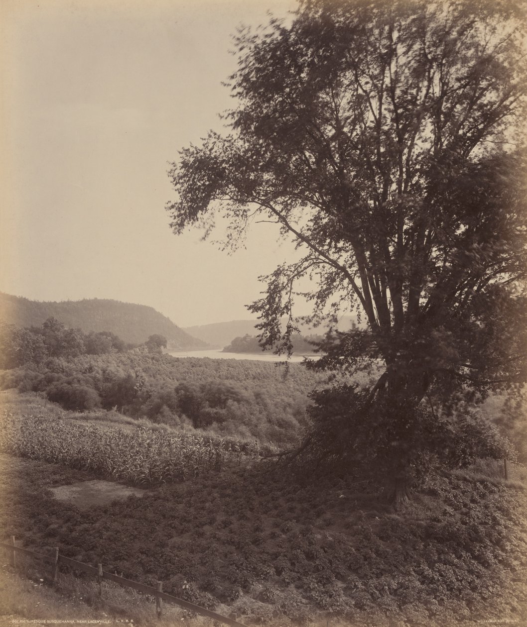 Pittoreske Susquehanna, nabij Laceyville door William H. Rau