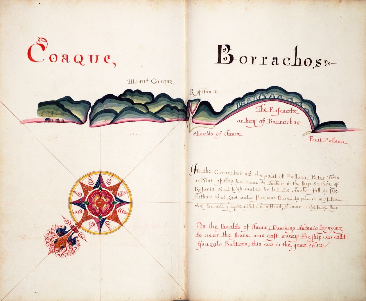 Coaque en Borrachos door William Hack