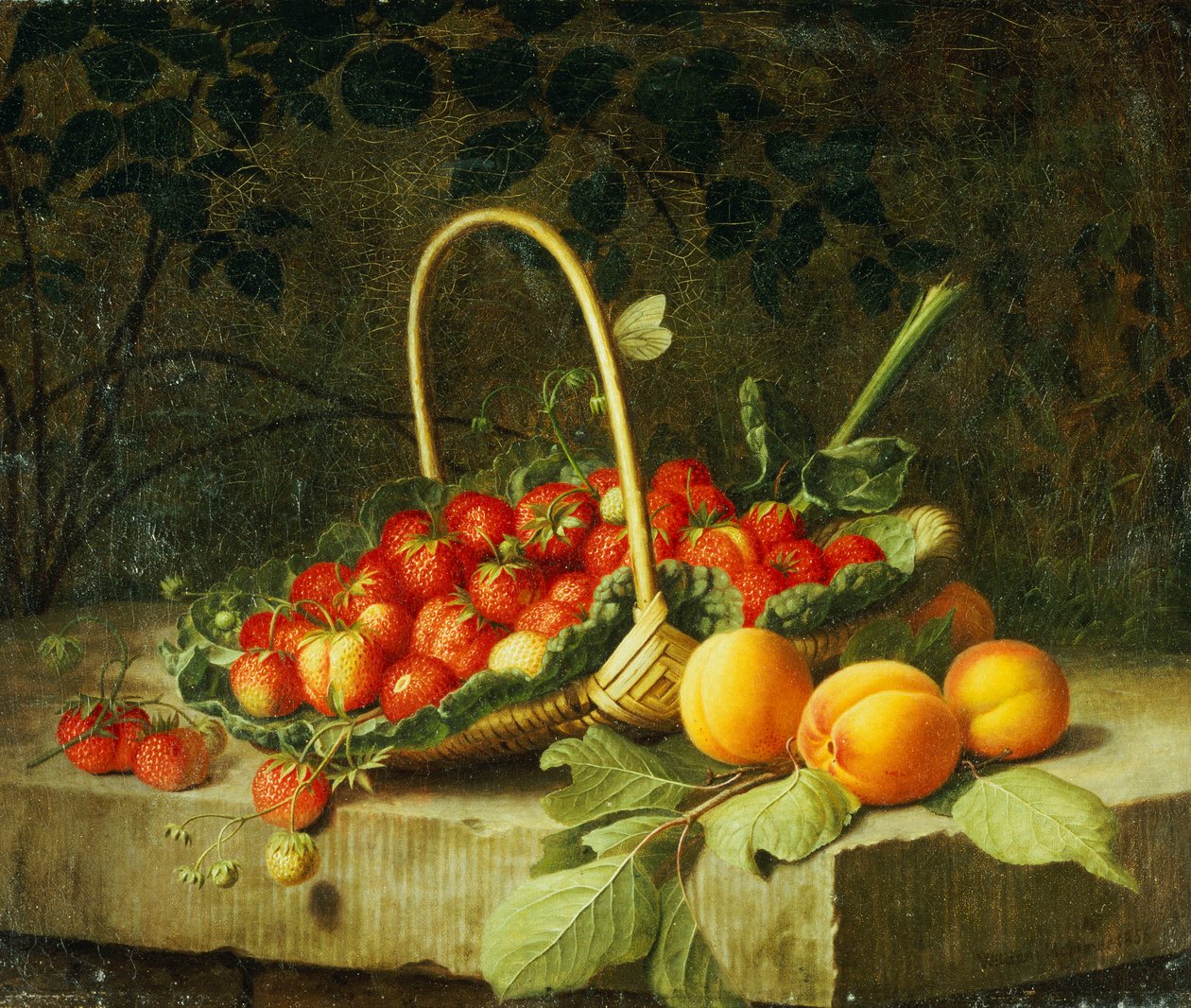 Een Mand met Aardbeien en Perziken op een Stenen Rand, 1856 door William Hammer