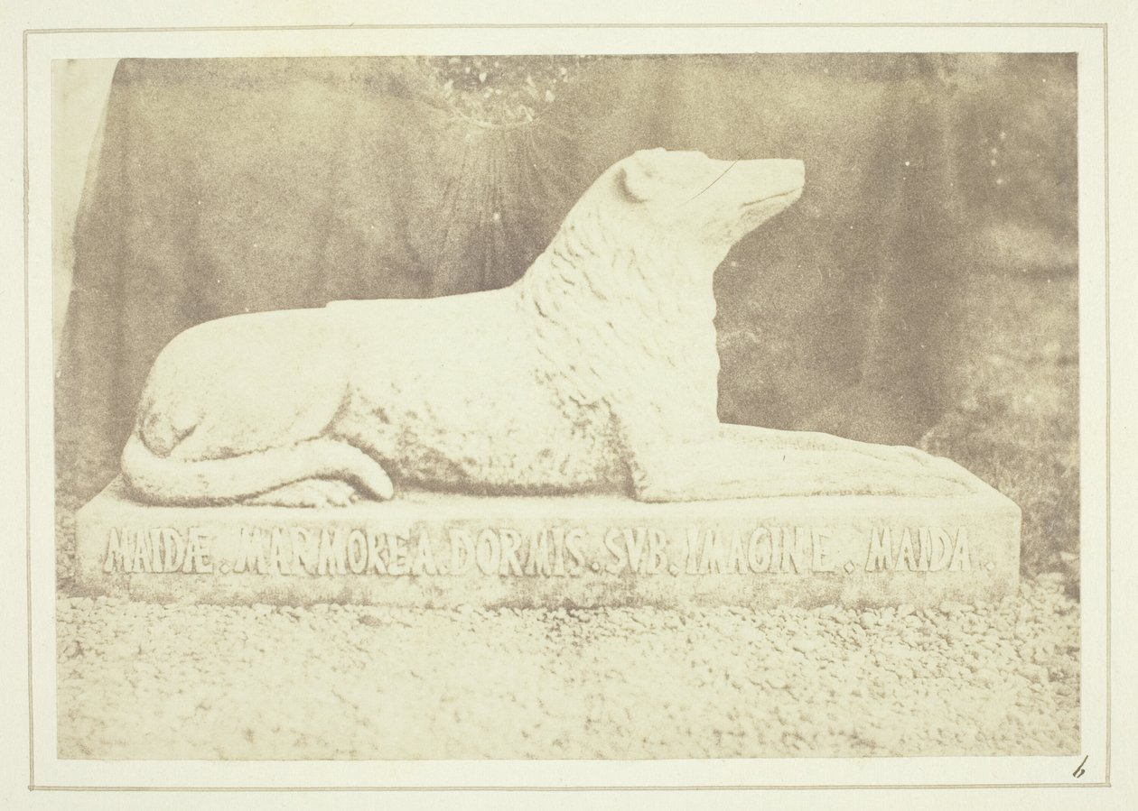 Effigie van Sir W. Scott
