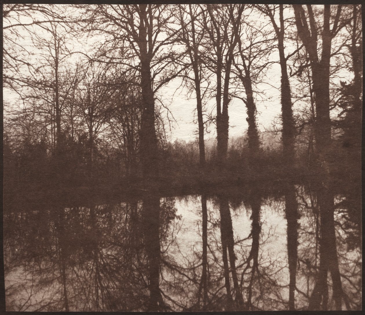 Winterbomen Weerspiegeld in een Vijver door William Henry Fox Talbot