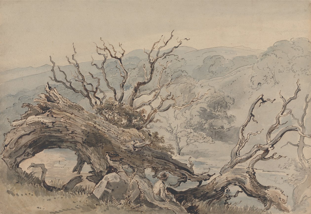 Een gevallen eik door William Henry Hunt