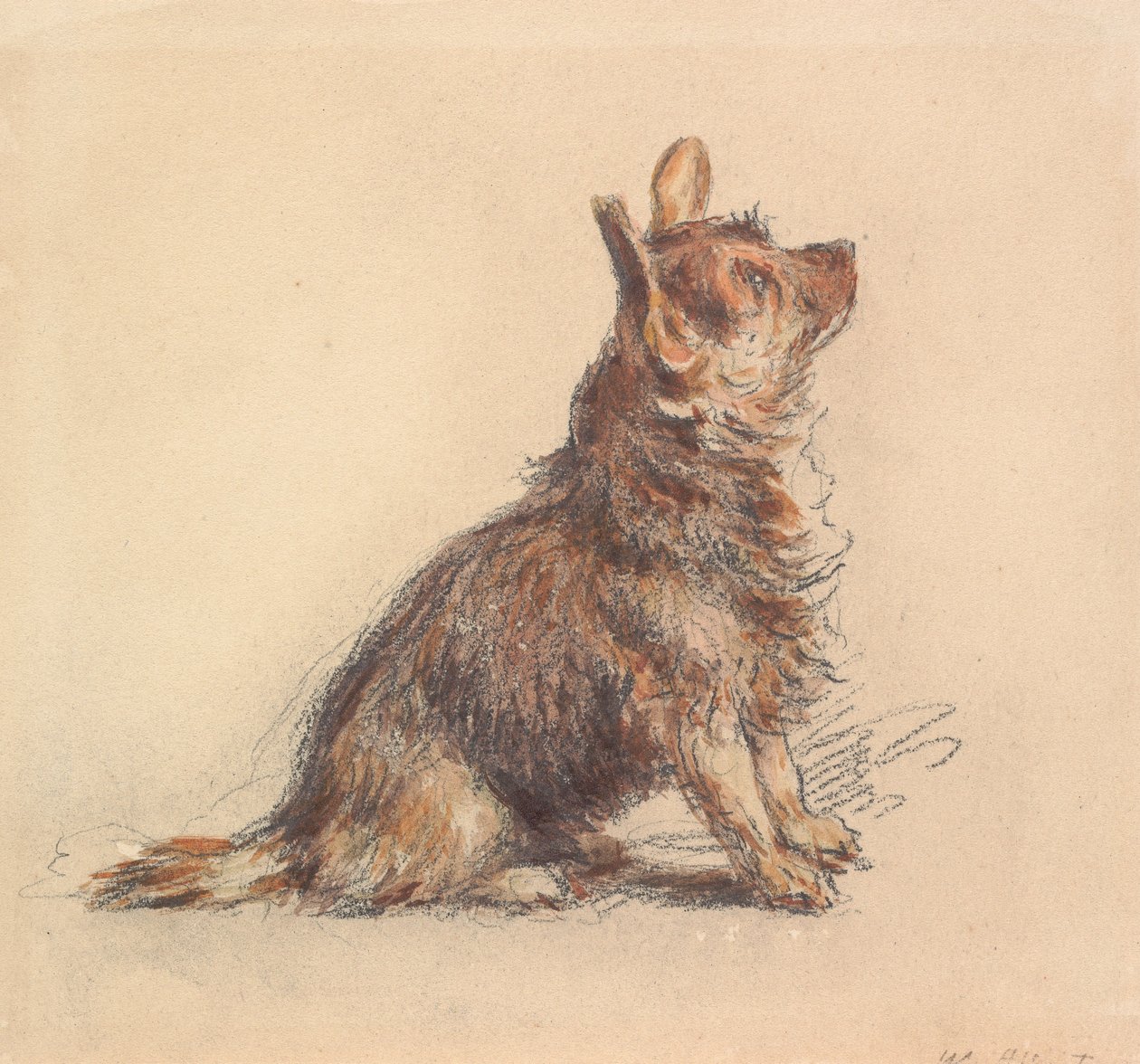 Een zittende terriër, die omhoog naar rechts kijkt door William Henry Hunt
