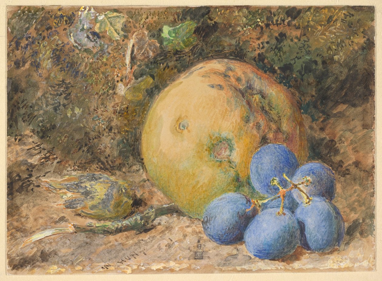 Een appel, druiven en een hazelnoot op een met mos begroeide oever door William Henry Hunt