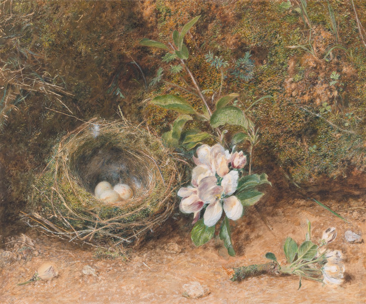 Vogelnest met Takken van Appelbloesems door William Henry Hunt