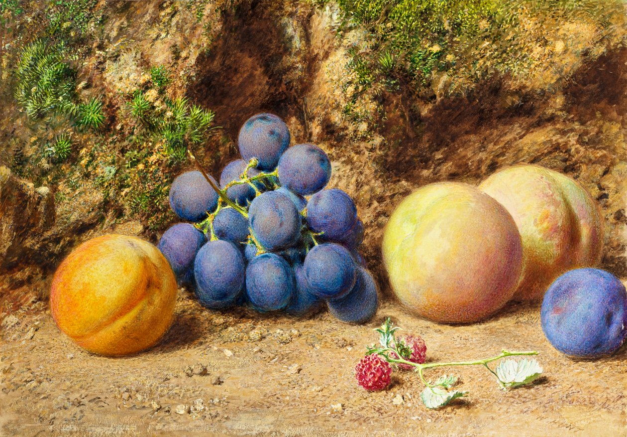 Zwarte druiven, perziken, abrikozen en frambozen, c.1860 door William Henry Hunt