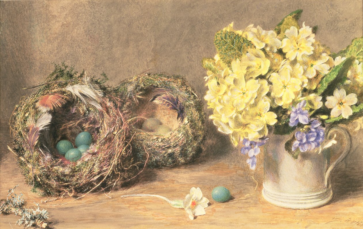 Lentebloemen en Vogelnesten, ca. 1830 door William Henry Hunt