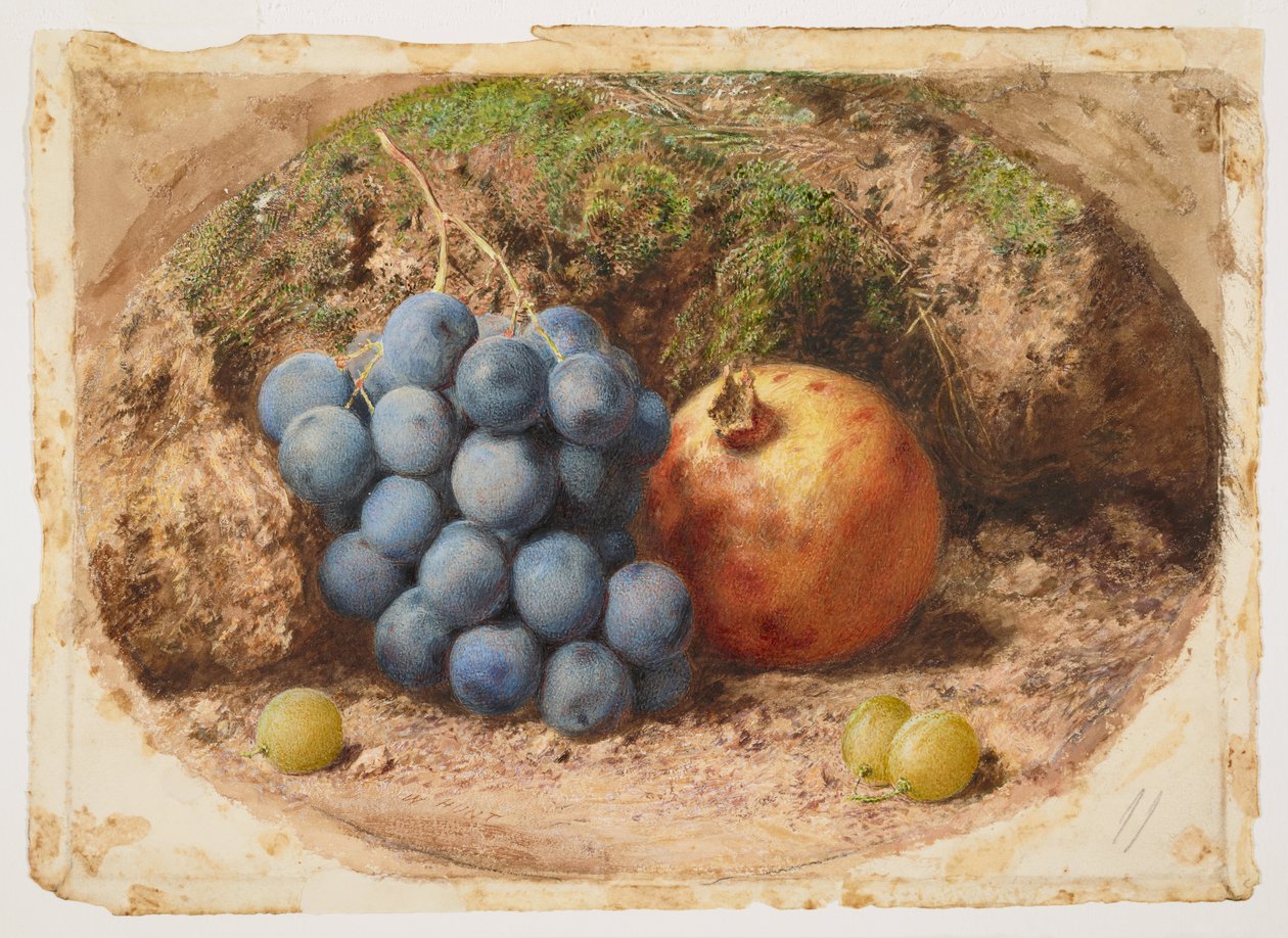 Stilleven met druiven en een granaatappel door William Henry Hunt