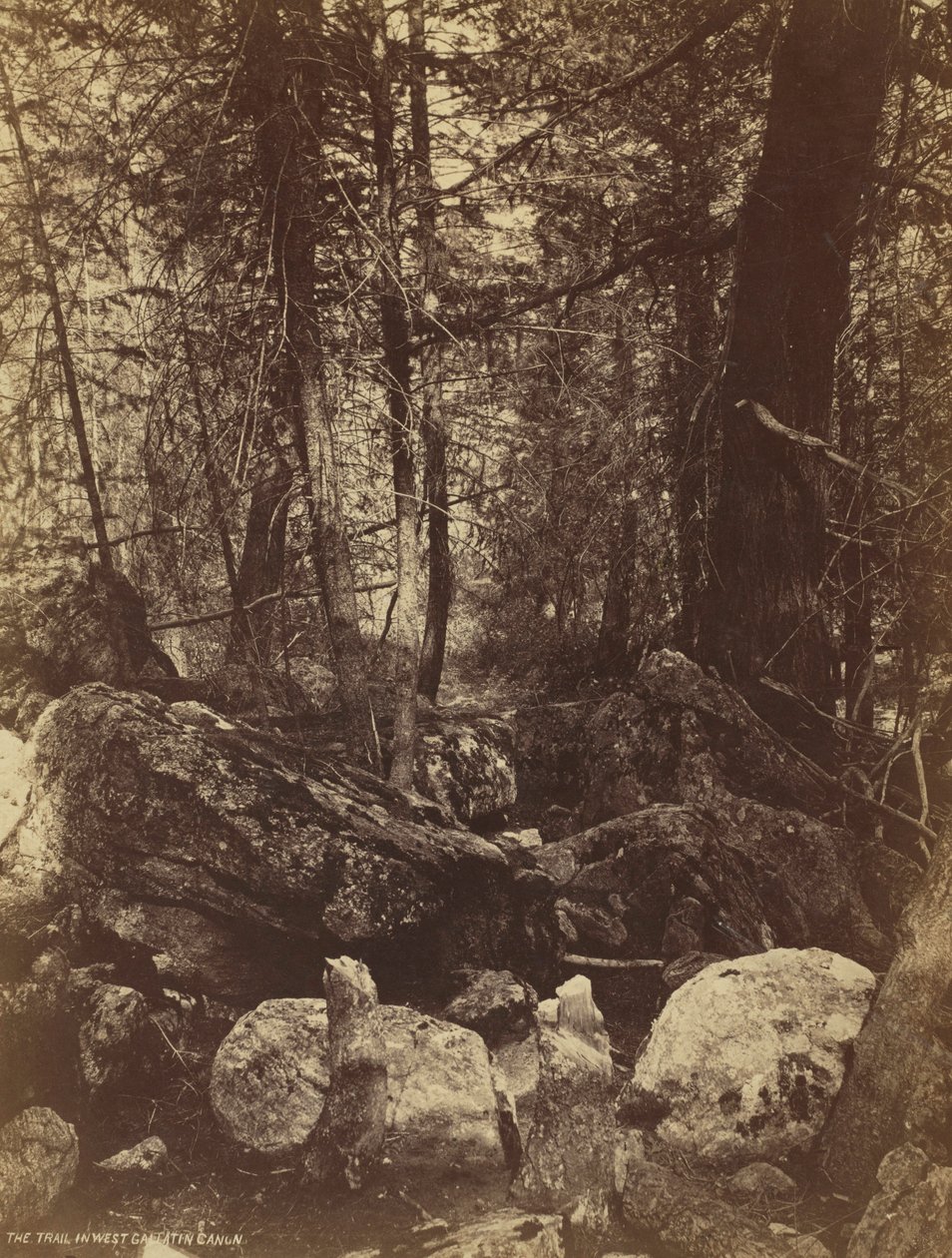 Het pad in West Gallatin Canyon, ca. 1870s door William Henry Jackson
