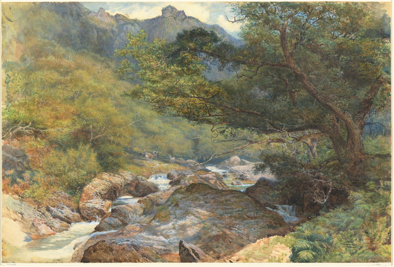 Aan de East Lyn, Noord-Devon door William Henry Millais
