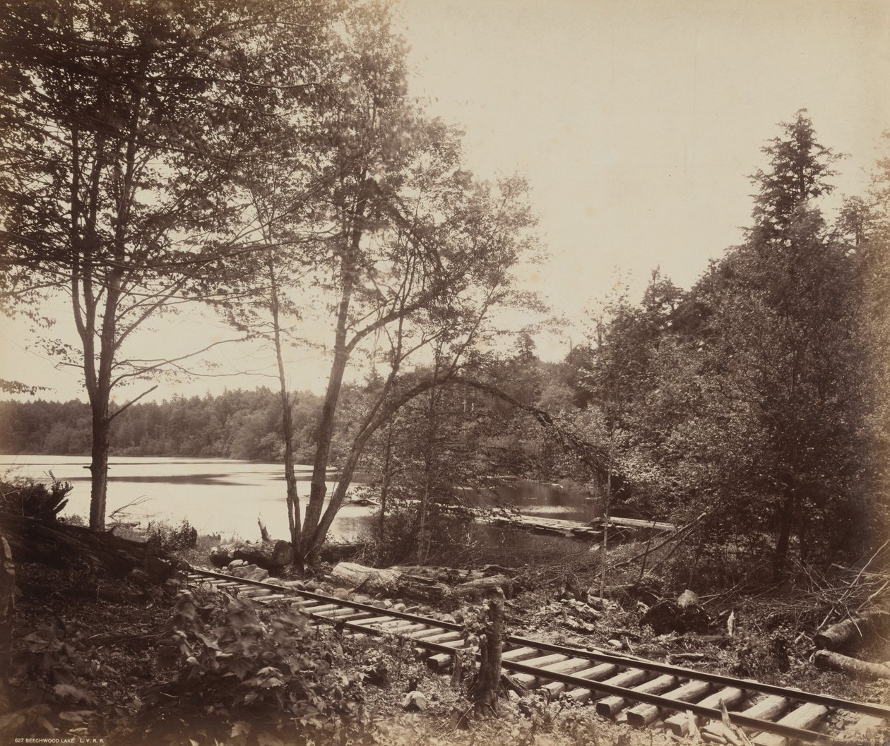 Beechwood Lake,c. 1895 (foto) door William Herman Rau