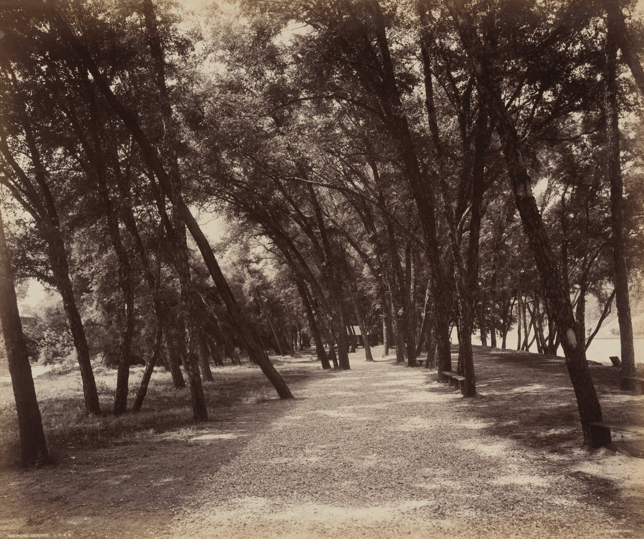 Picknickplaats,c. 1895 (foto) door William Herman Rau