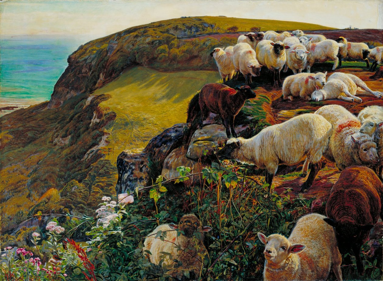 Onze Engelse kusten door William Holman Hunt
