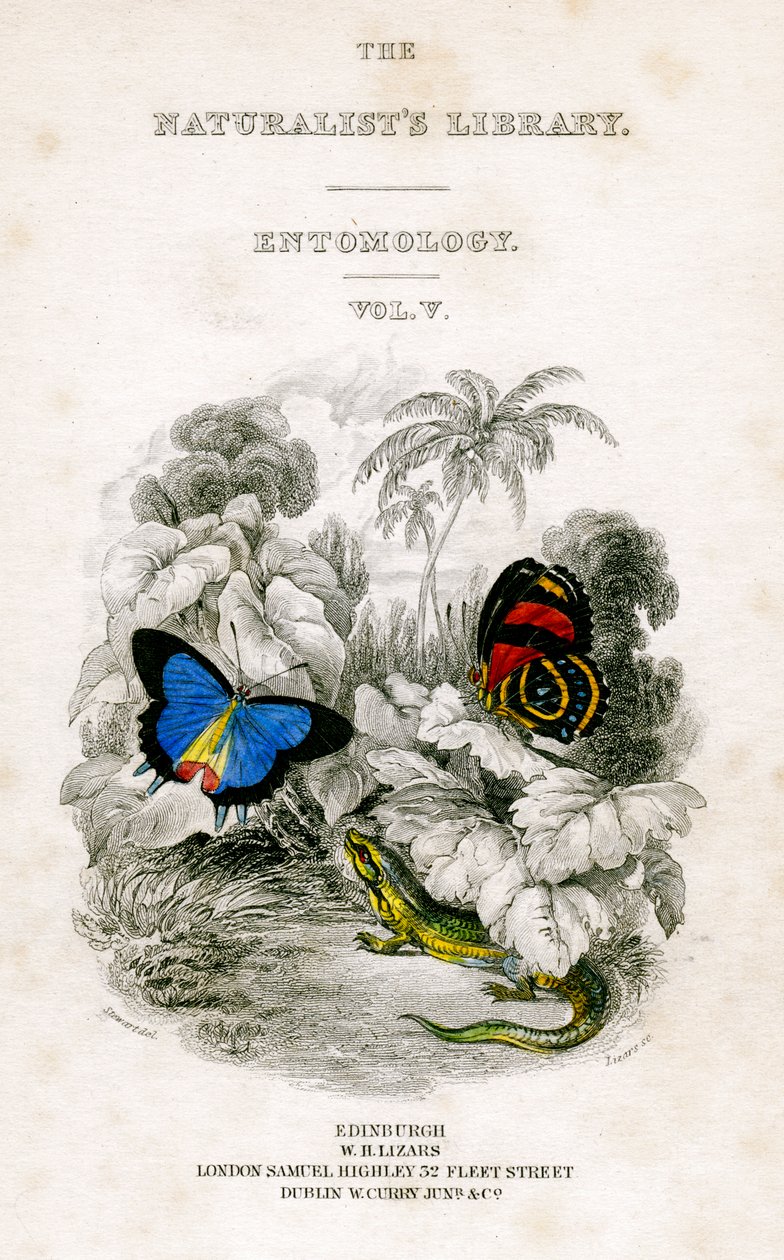 De bibliotheek van de natuuronderzoekers, Entomologie, Vol V, Vlinders, c1833-1865 door William Home Lizars