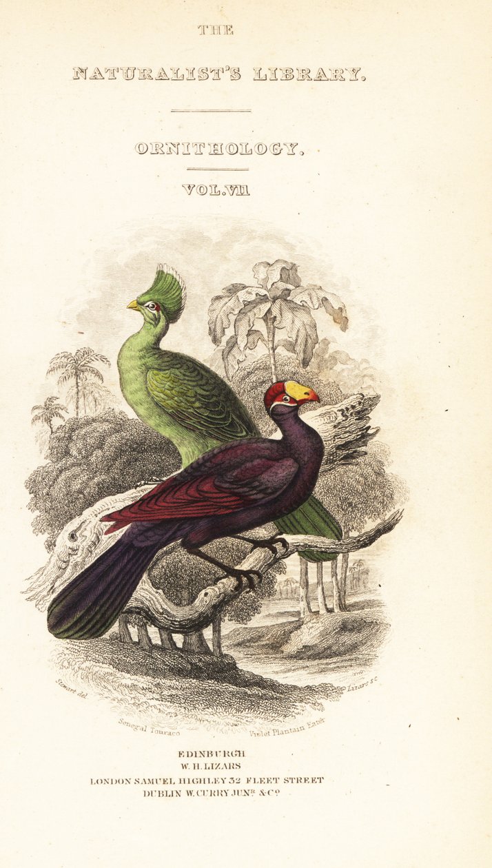Titelpagina met vignette van Guinese toerako, Tauraco persa buffoni, en violette toerako, Musophaga violacea door William Home Lizars