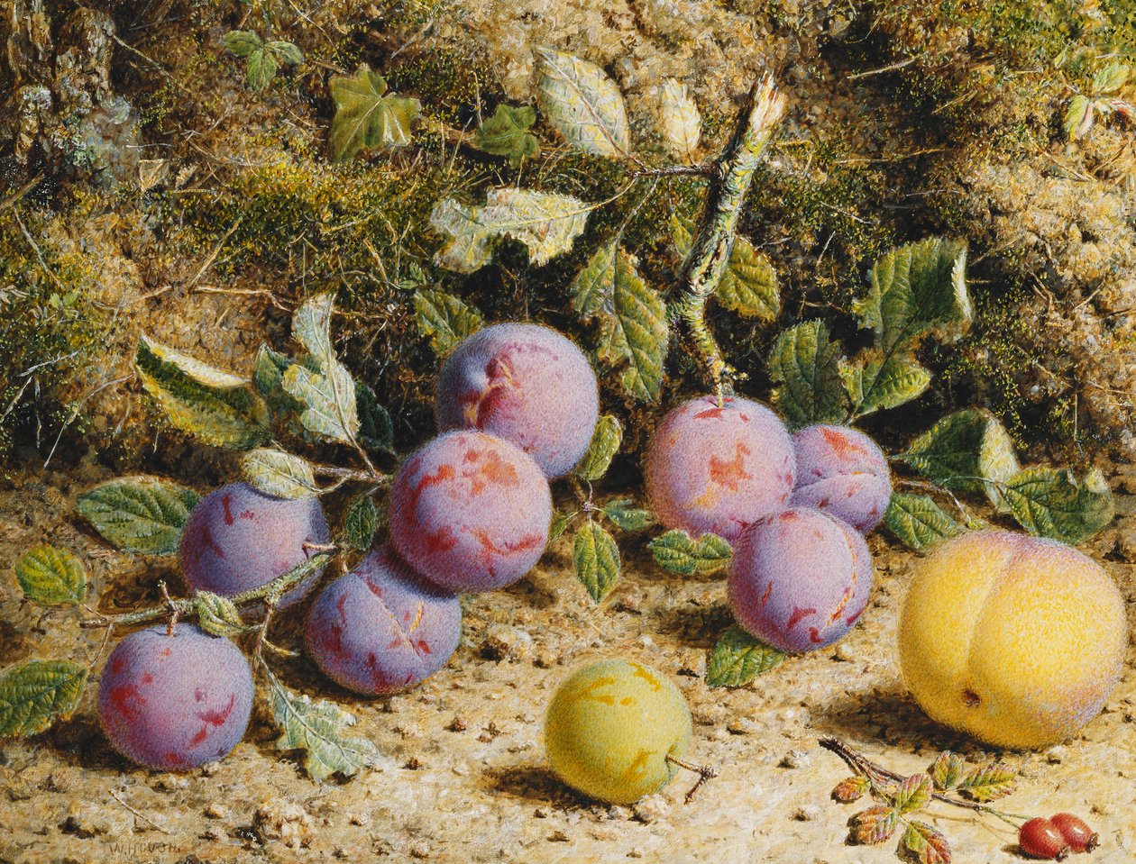 Stilleven met Pruimen, een Perzik en Rozenbottels door William Hough