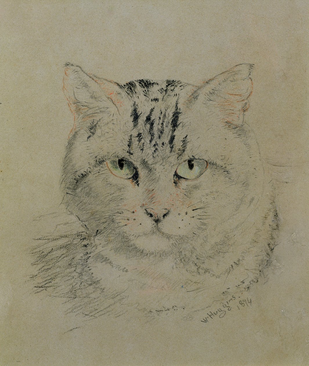 Cyperse Kat, 1874 door William Huggins