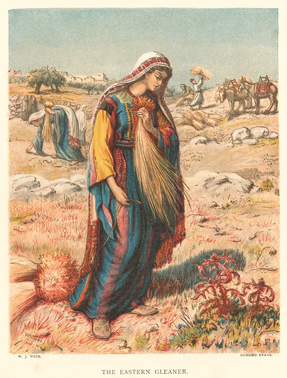 De Eastern Gleaner (ingekleurde gravure) door William J. Webbe or Webb