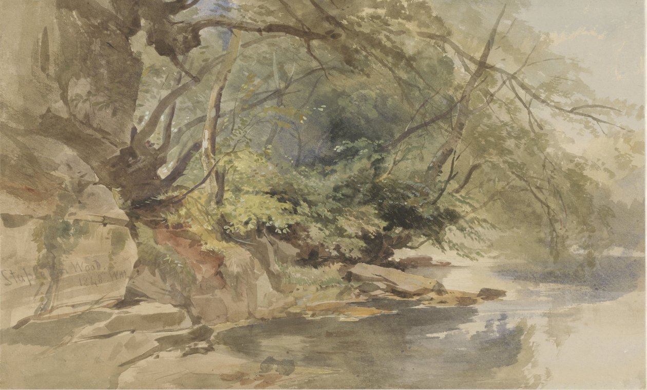 Gezicht in Stapleton Wood, bij Bristol door William James Muller