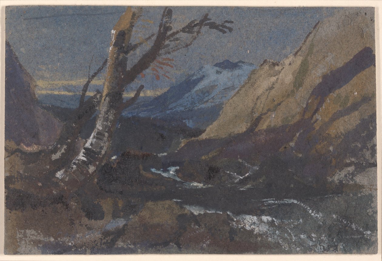 Studie van bomen bij een bergbeek door William James Muller
