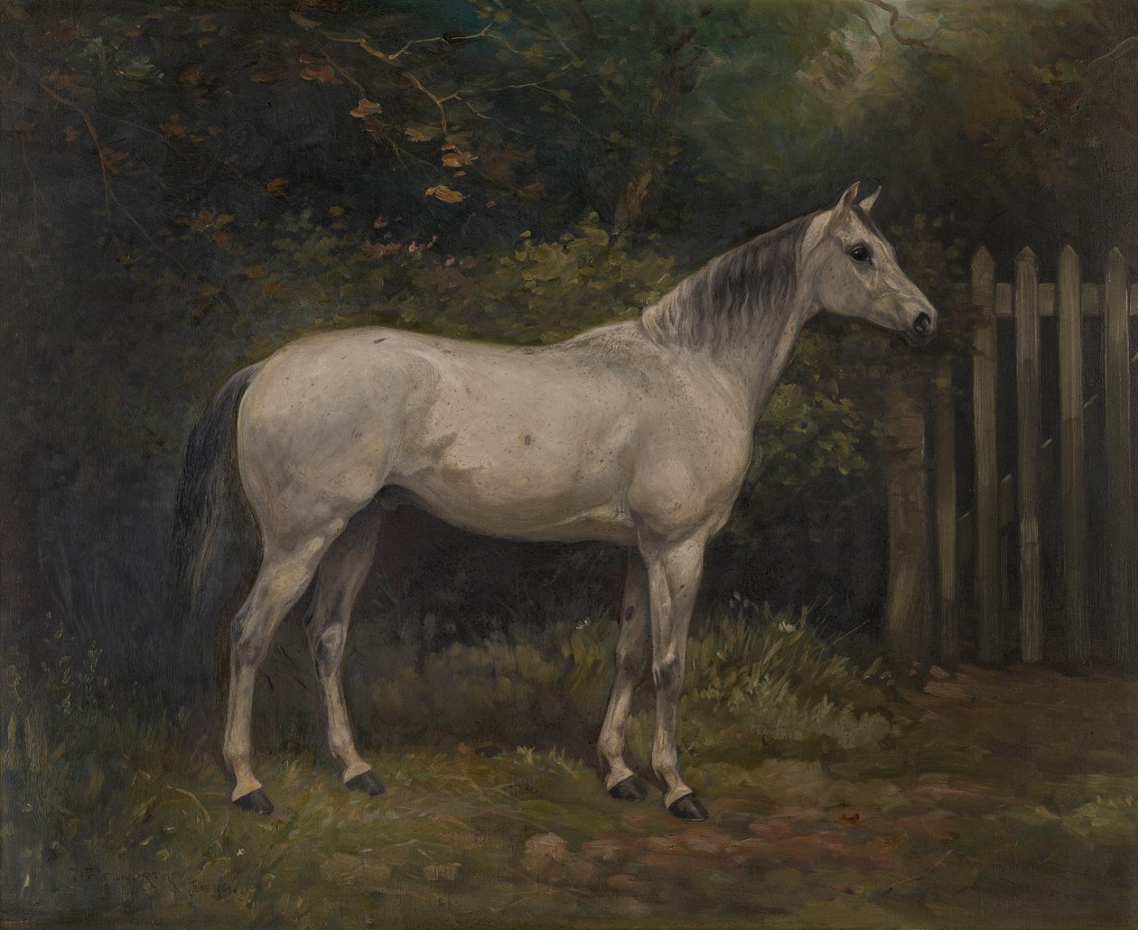 Pickles: een Basuto pony door William Josiah Redworth