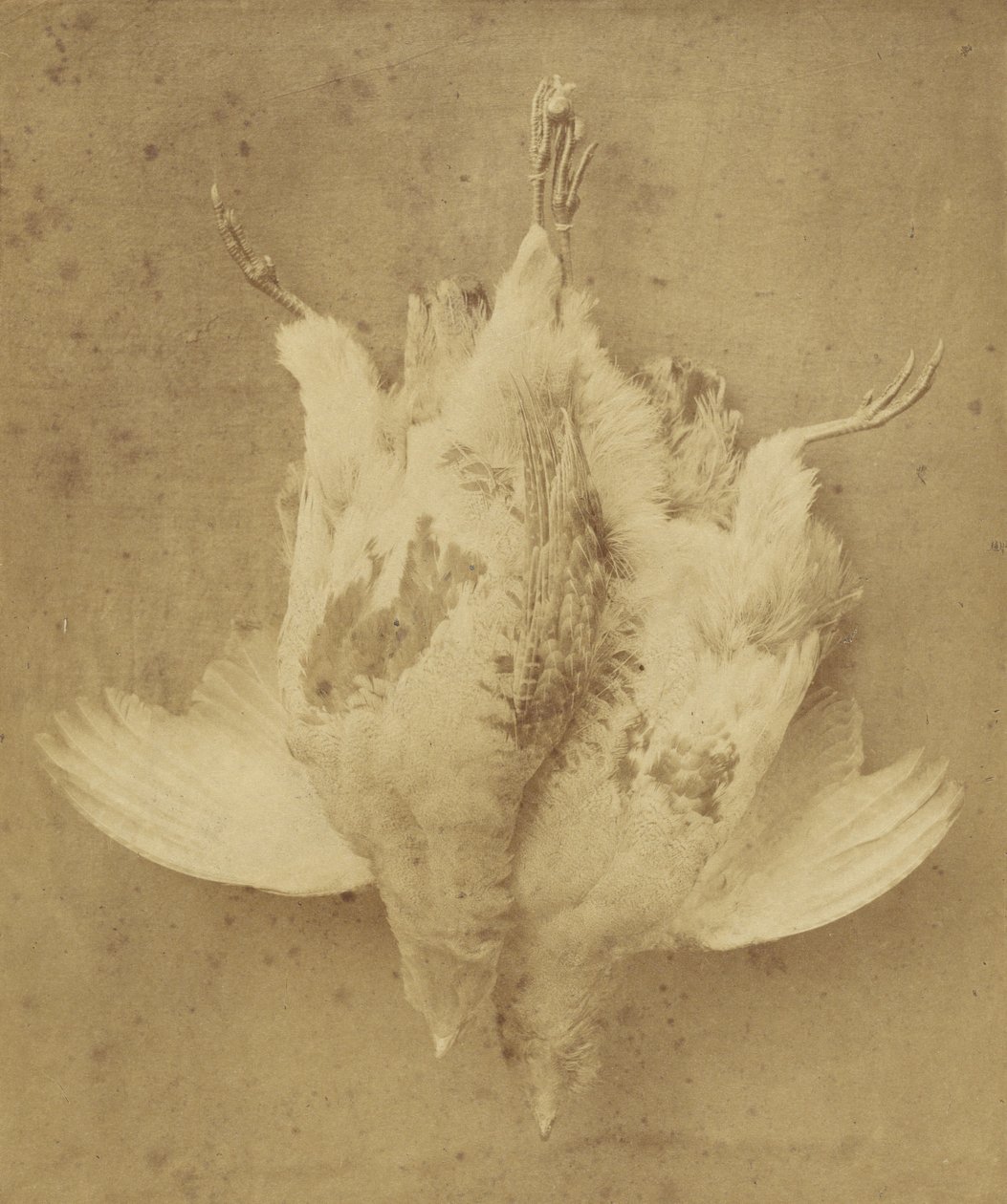 De eerste van september door William Lake Price