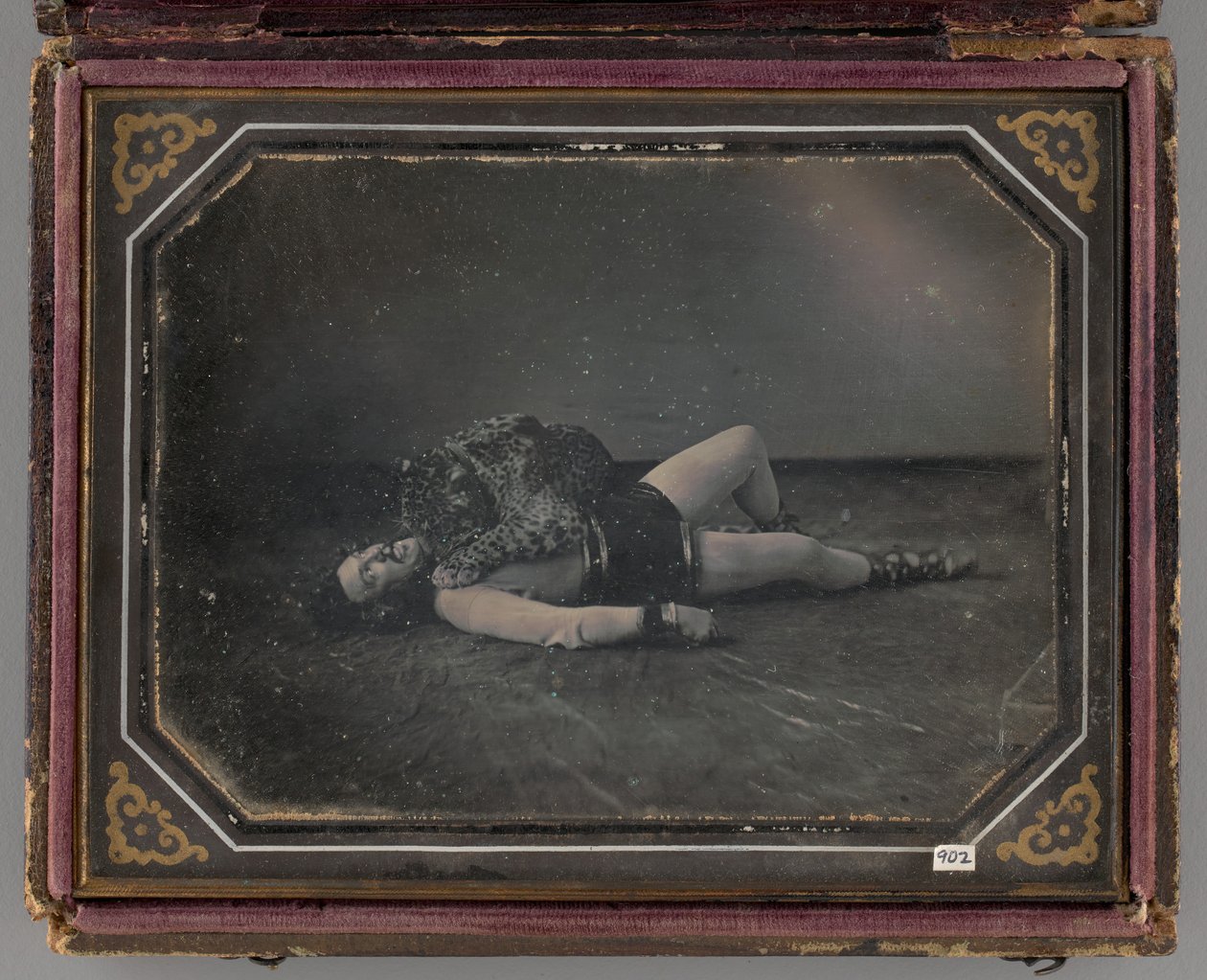 Ongenoemd portret van wilde dierentemmer Jacob Driesbach met jaguar, 1850 door William Langenheim