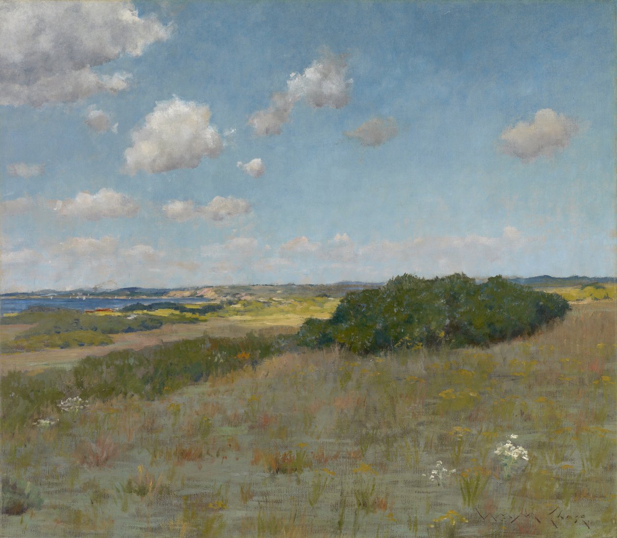 Zonlicht en Schaduw, Shinnecock Hills door William Merritt Chase
