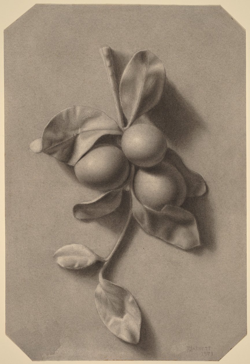 Een takje met pruimen door William Michael Harnett