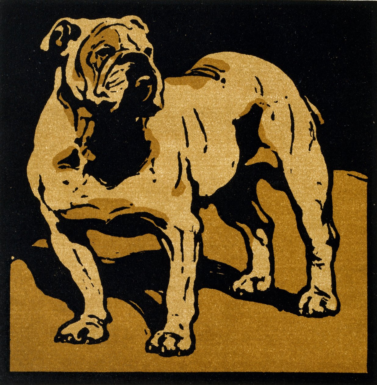 De Britse Bulldog, uit 