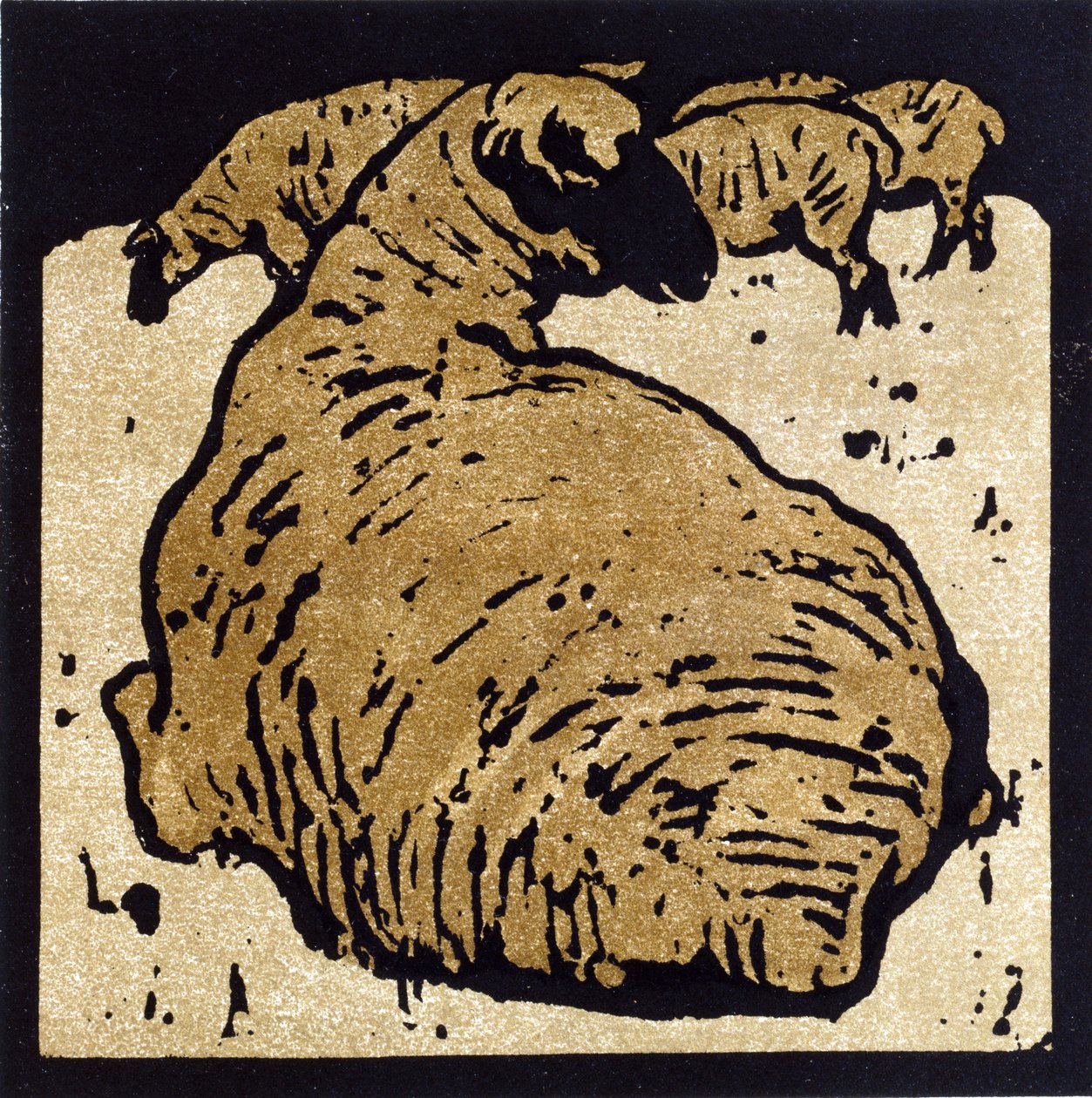 Het eenvoudige schaap, illustratie uit 
