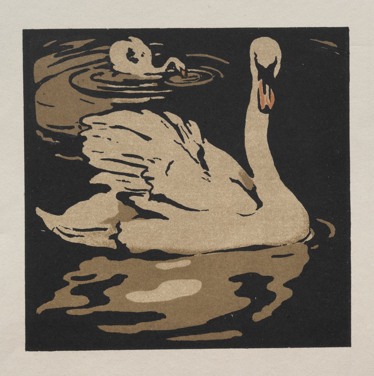 Het Vierkante Boek van Dieren: De Mooie Zwaan door William Nicholson