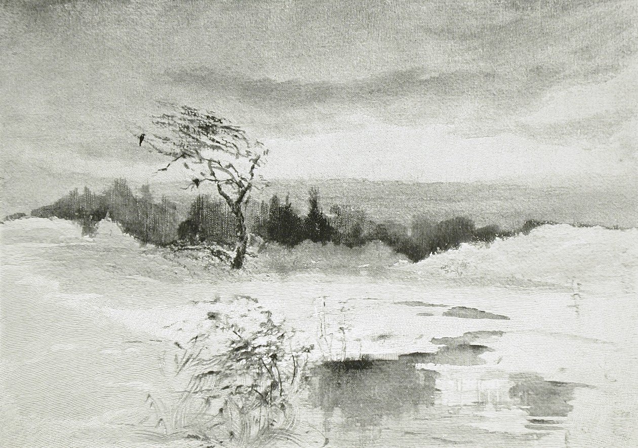 Landschap met Water en Door de Wind Gebogen Boom door William Parsons Winchester  Dana