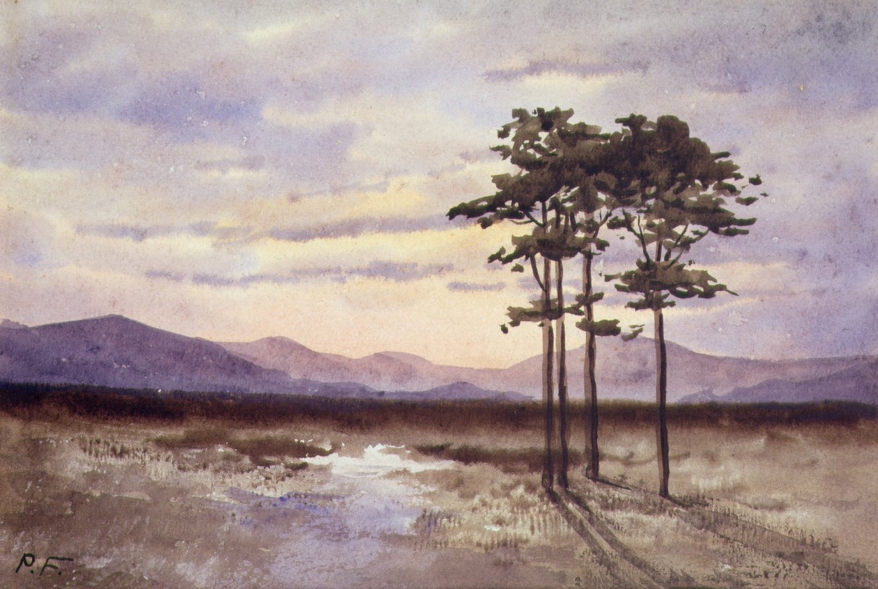 Zonsondergang, County Sligo door William Percy French