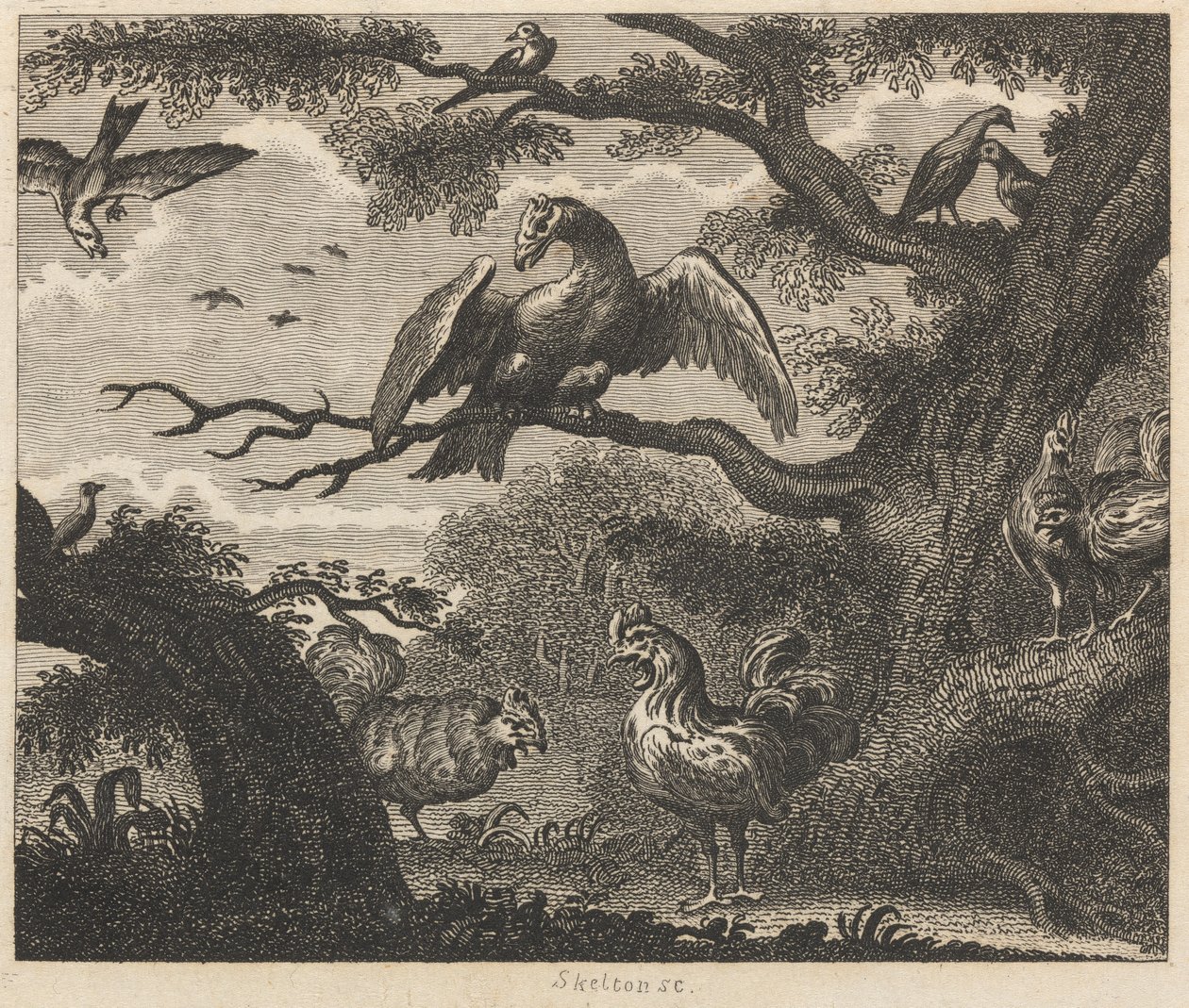 De gier, de mus en andere vogels door William Skelton