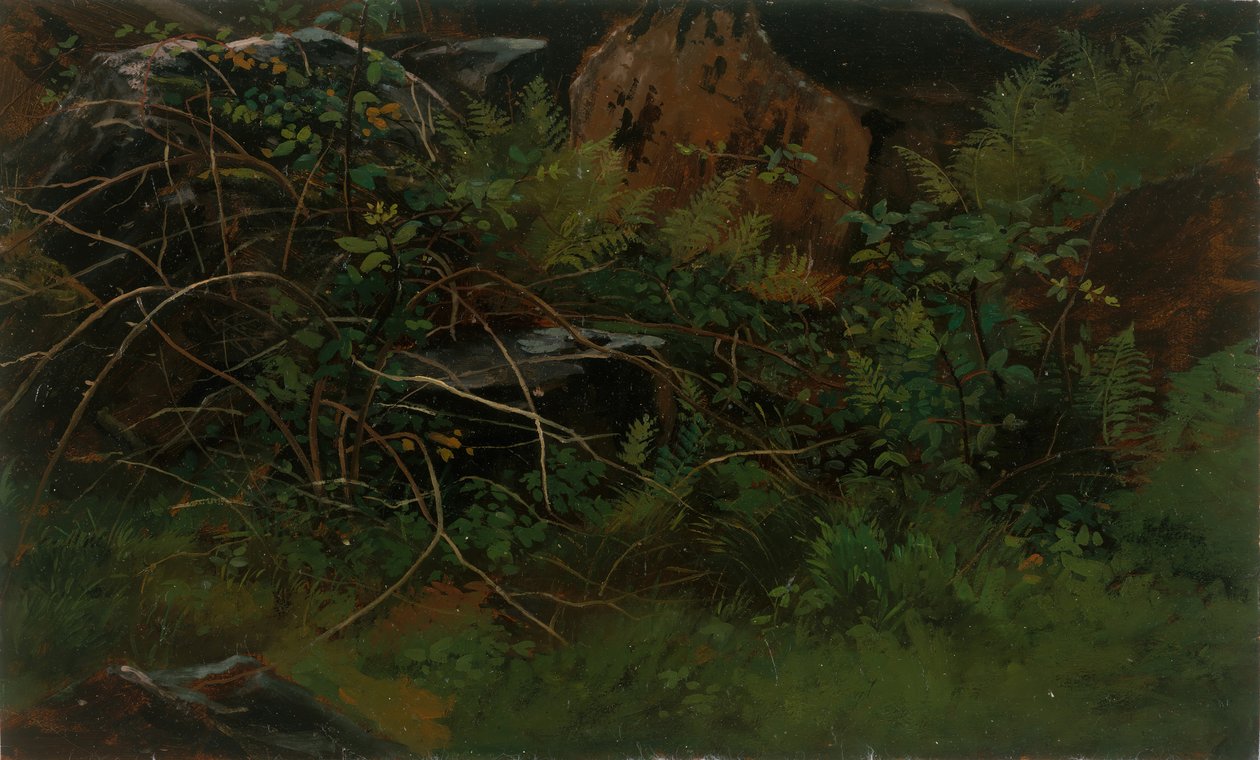 Studie uit de natuur door William Stanley Haseltine