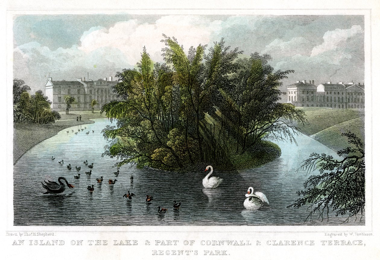 Eiland op het meer en Deel van Cornwall en Clarence Terrassen, Regents Park, Londen, 1828 door William Tombleson