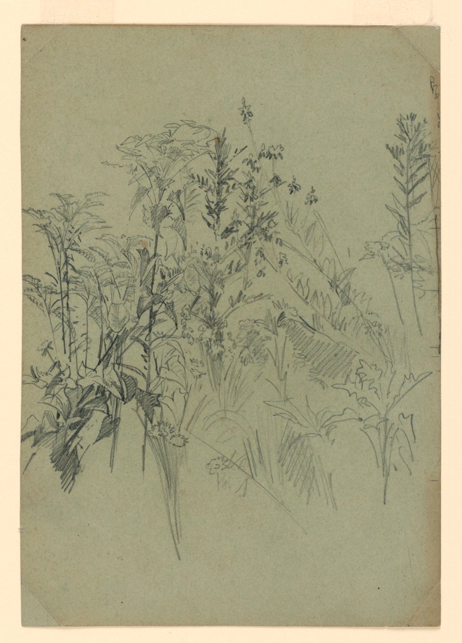 Studie van gebladerte door William Trost Richards