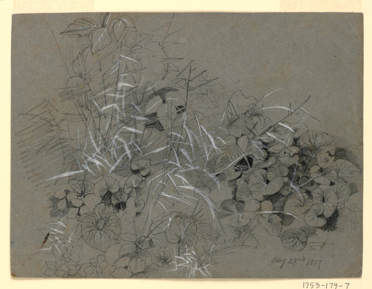Studie van violette bladeren en gras door William Trost Richards