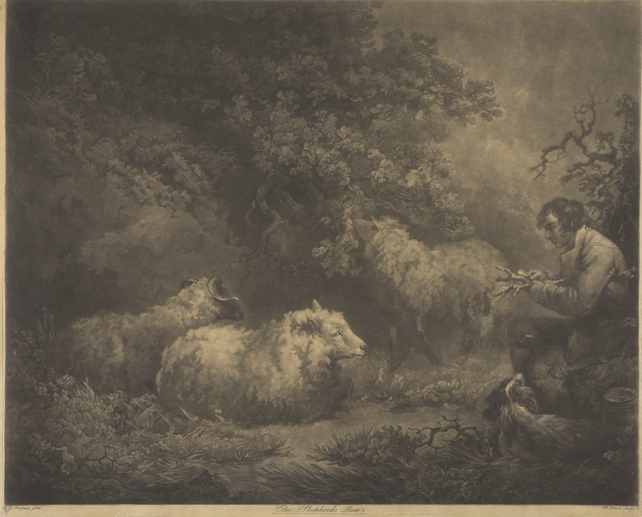 De Herderjongen door William Ward