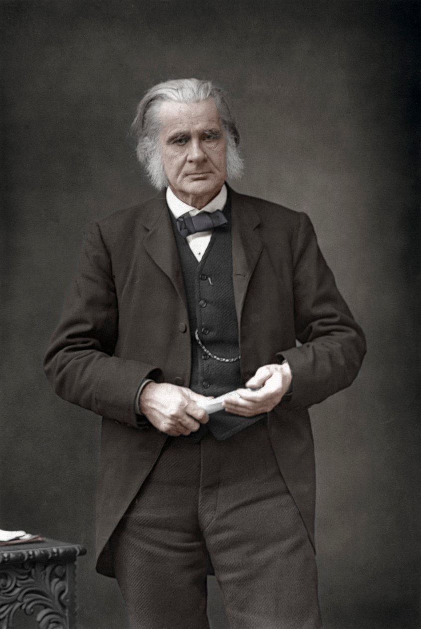 Thomas Henry Huxley 1825-1895, Engelse bioloog, 1890 door William and Daniel Downey