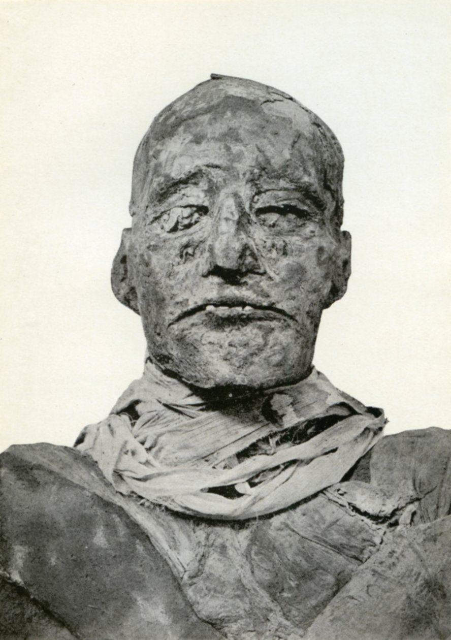 Hoofd van de mummie van Ramses III, Oude Egyptische farao van de 20e Dynastie, ca. 1156 v.Chr. 1926 door Winifred Mabel Brunton