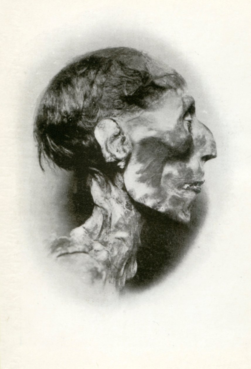 Hoofd van de mummie van Ramses II, Oude Egyptische farao van de 19e dynastie, ca. 1212 v.Chr., 1926 door Winifred Mabel Brunton