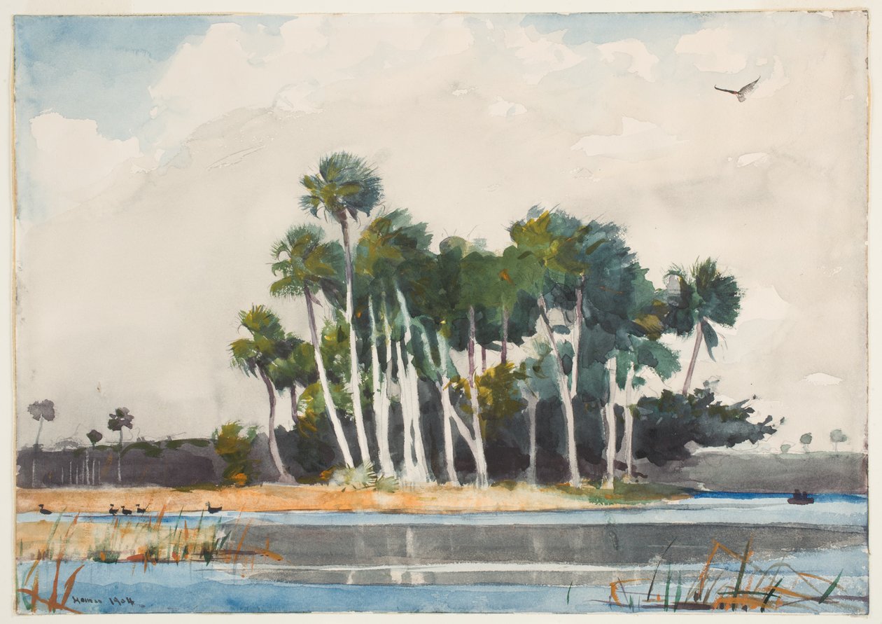 De Kalkoengier door Winslow Homer