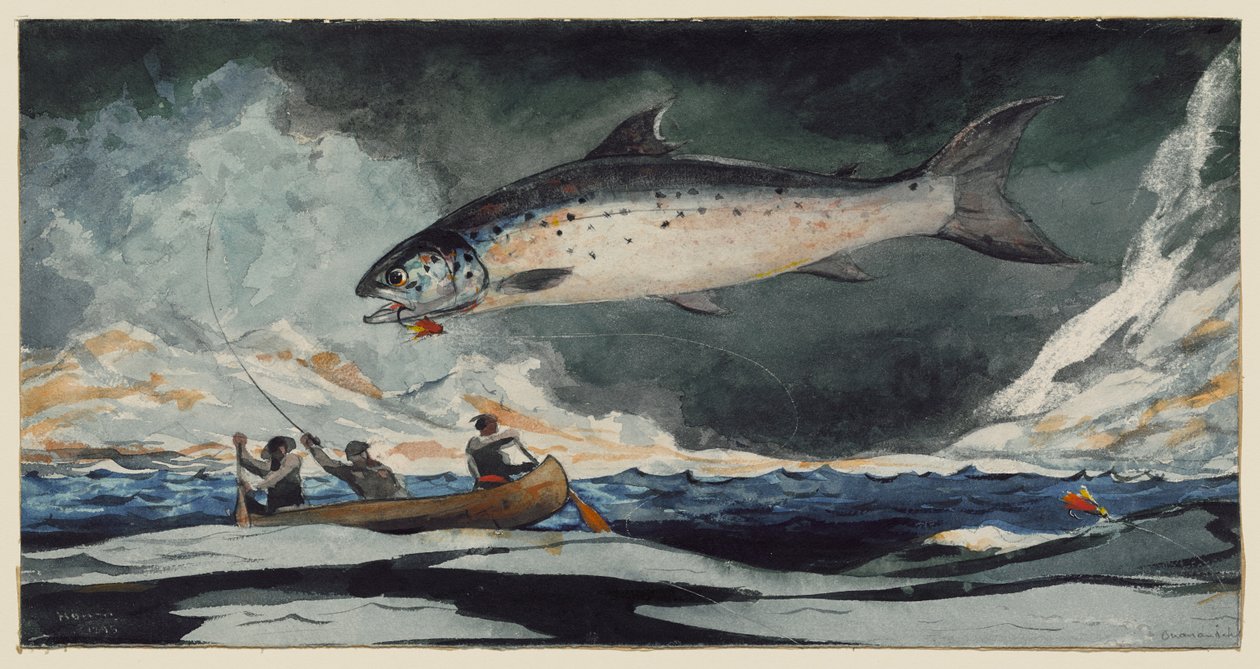 Een mooi zwembad, de Saguenay-rivier door Winslow Homer