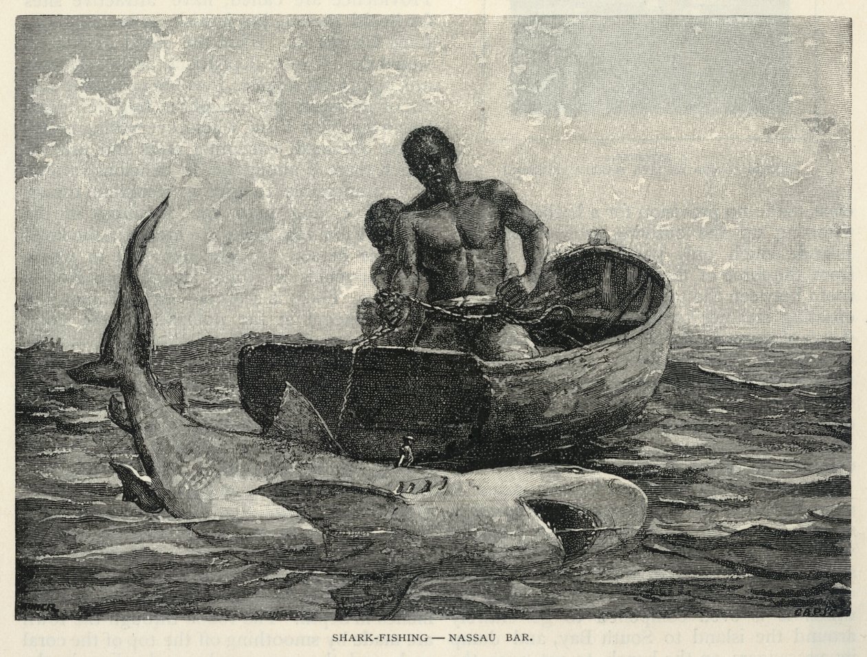 A Peddler, A Nassau Gateway, Shark-Fishing--Nassau Bar, uit The Century Magazine, februari 1887 door Winslow Homer