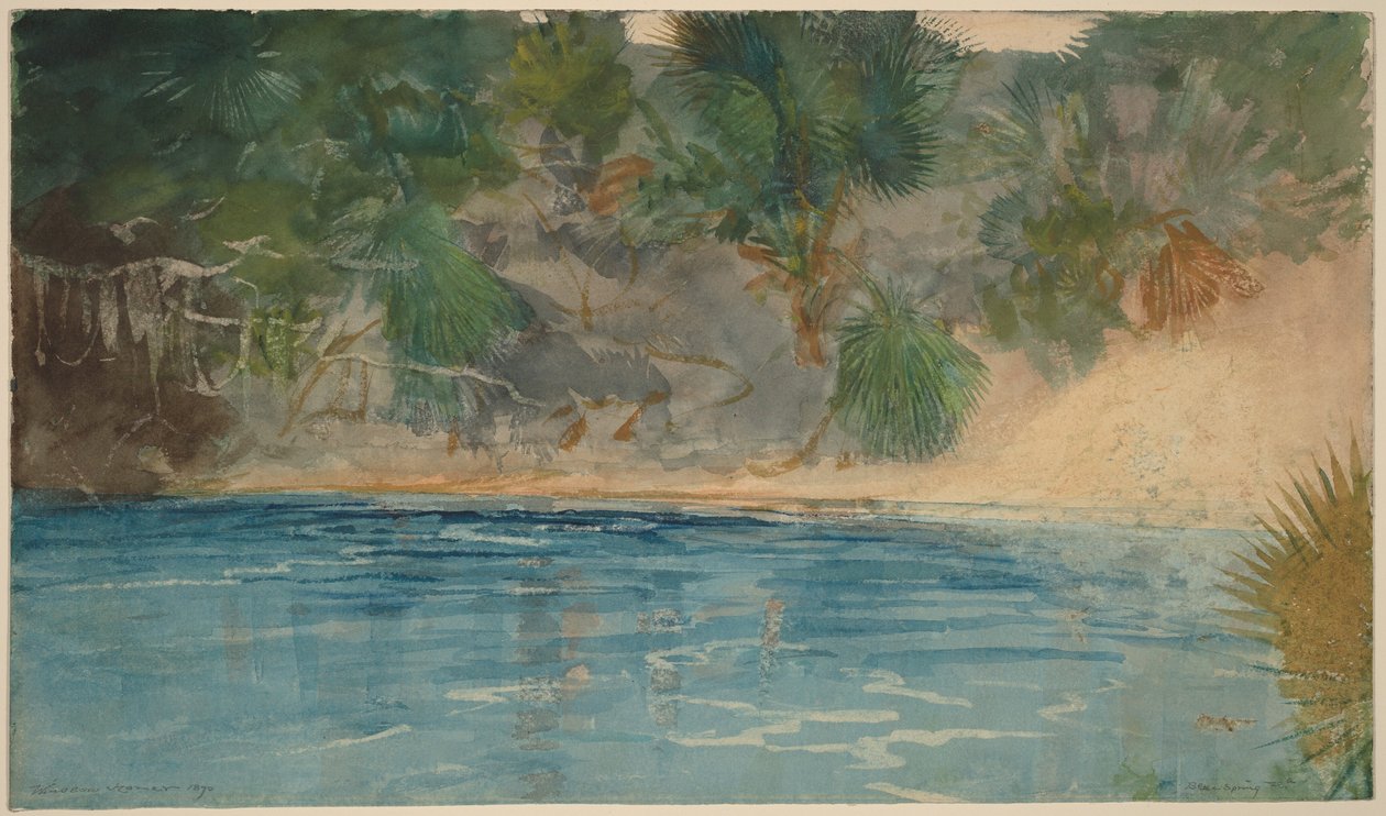 Blue Spring, Florida door Winslow Homer