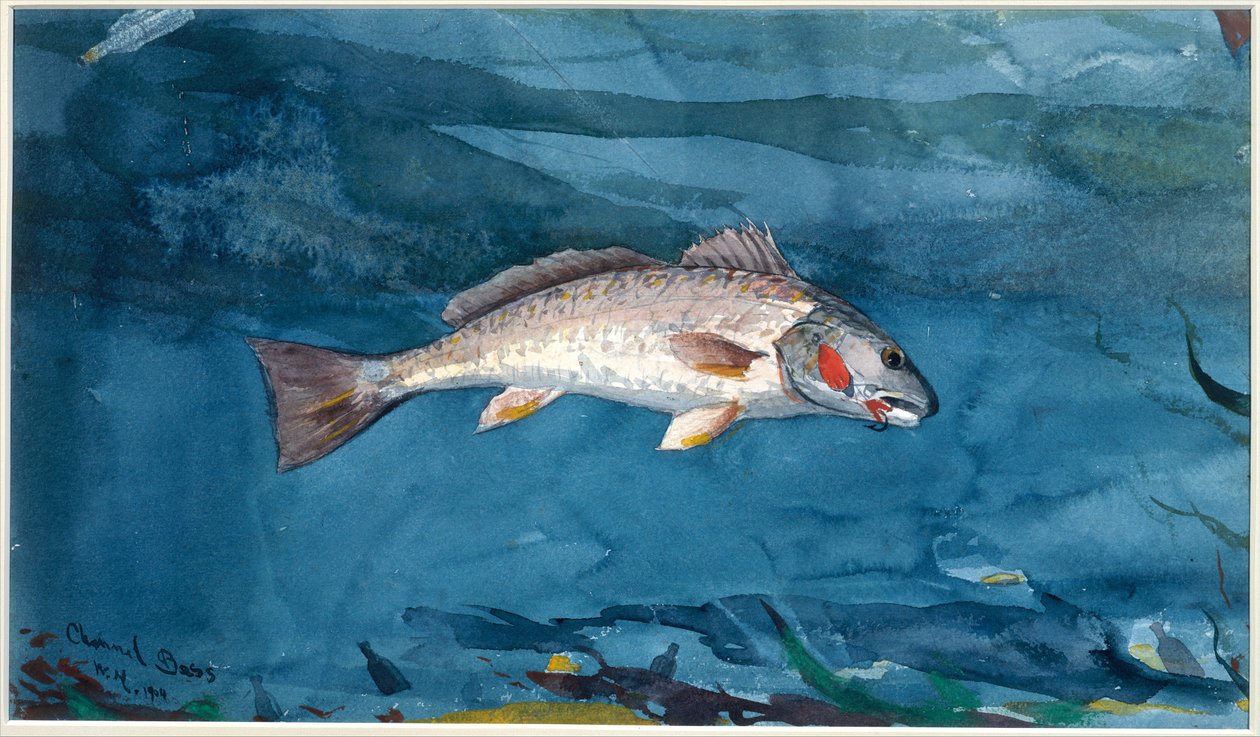 Kanaal Bass door Winslow Homer