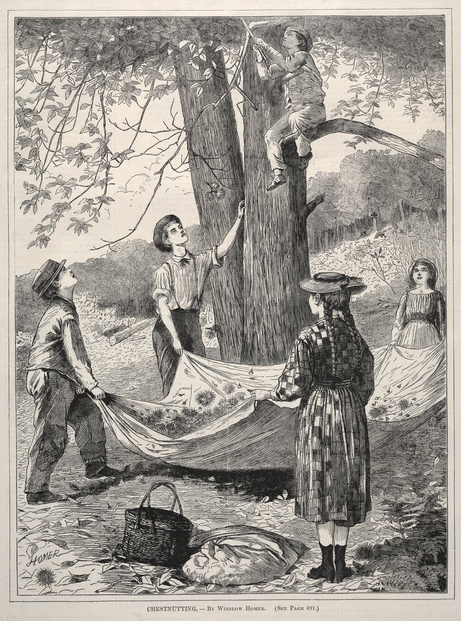 Chestnutting door Winslow Homer