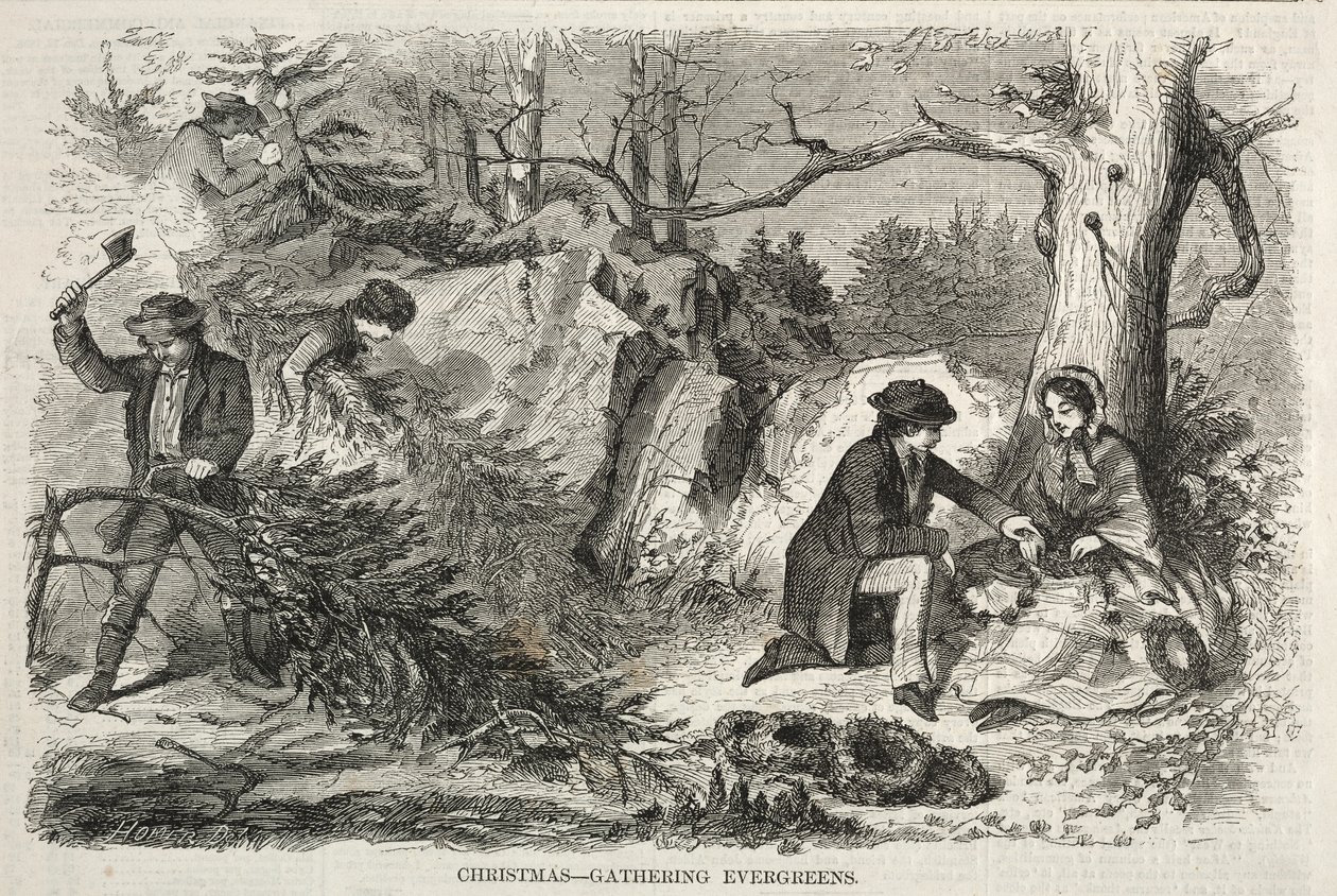 Kerst – Evergreens verzamelen door Winslow Homer